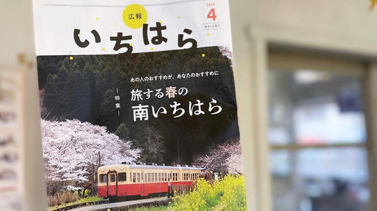 「広報いちはら2025年4月号」に掲載いただきました!