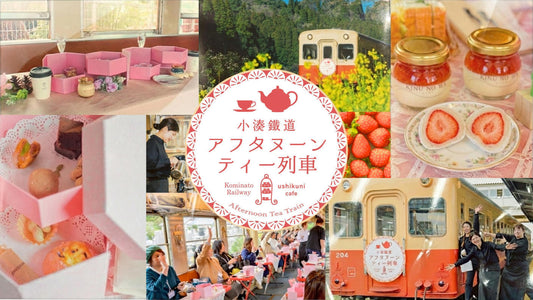 2026年3月8日「小湊鐵道アフタヌーンティー列車・春」開催決定！